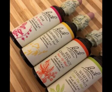 Immune Wellness Images, Stock Photos & Vectors - Shutterstock Things To Know Before You Get Thi...