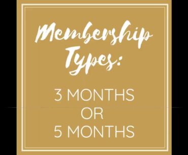 How 5 Vitamins for Brain Health and Memory - Fullscript can Save You Time, Stress, and Money.