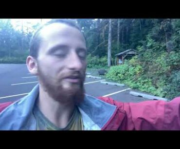 Reishi Mushroom - Stay Immune From Corona Virus