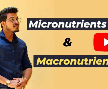 What are MICRONUTRIENTS & MACRONUTRIENTS ? FITNESS FICTION