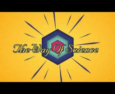 Nutrition Facts Of Fruits...