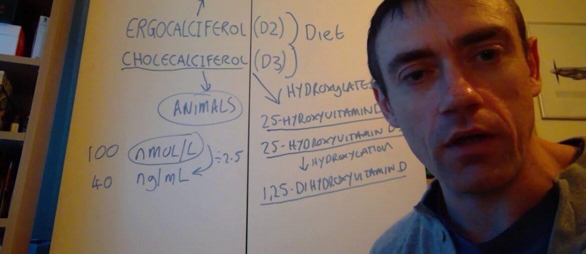 Vitamin D Terminology Overview