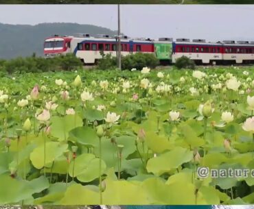 Latest Nature Scenes|| Train scenes || Latest 2020