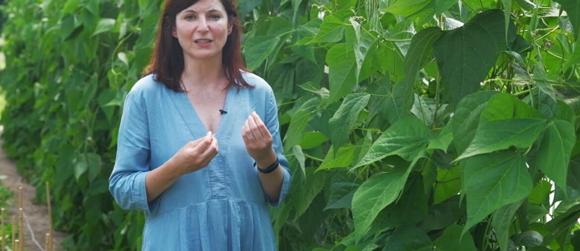 CNM Veggie Walk | Episode 01