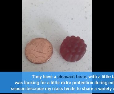 Buy Nature Made Elderberry 100mg with Vitamin C & Zinc Gummies, 60 count to Help Support the Im...