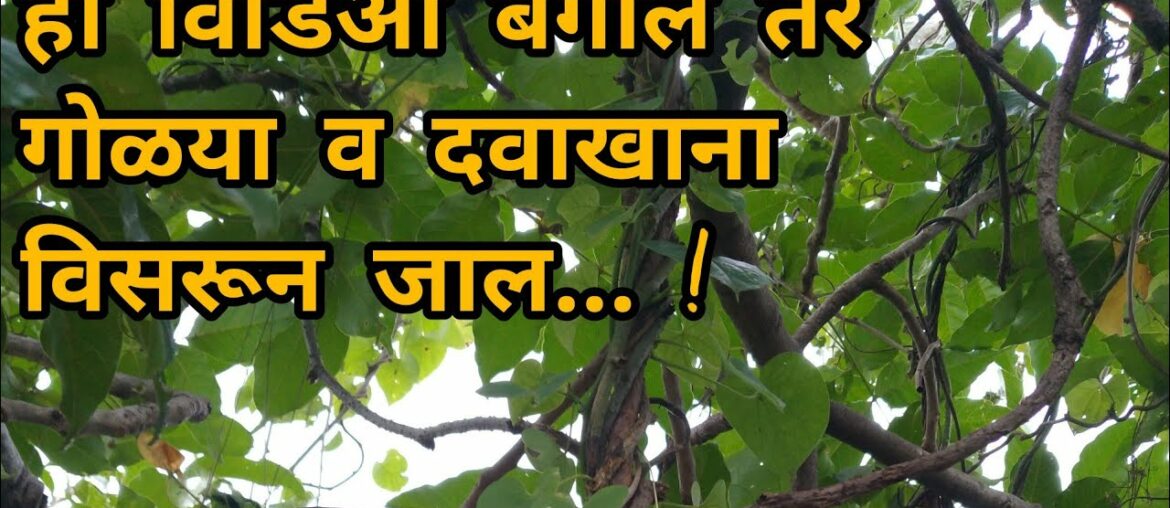 Man vs wild - how to increase immunity power for covid 19 in hindi