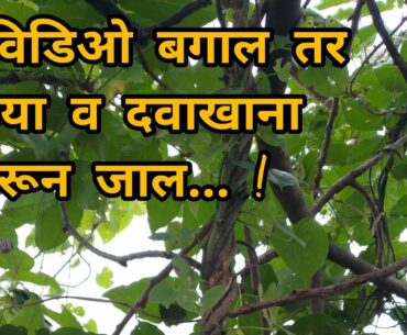 Man vs wild - how to increase immunity power for covid 19 in hindi