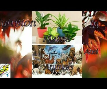 Nutrition in Plants and Animals //Science //Highly discus about the topic