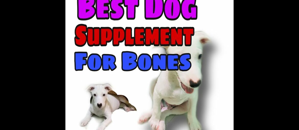 Importance of Dog Vitamins for the Bones| Dogs Supplement for the bones