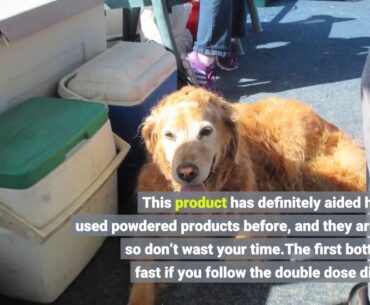 Doggie Dailies Glucosamine for Dogs, 225 Soft Chews, Advanced Hip and Joint Supplement for Dogs...