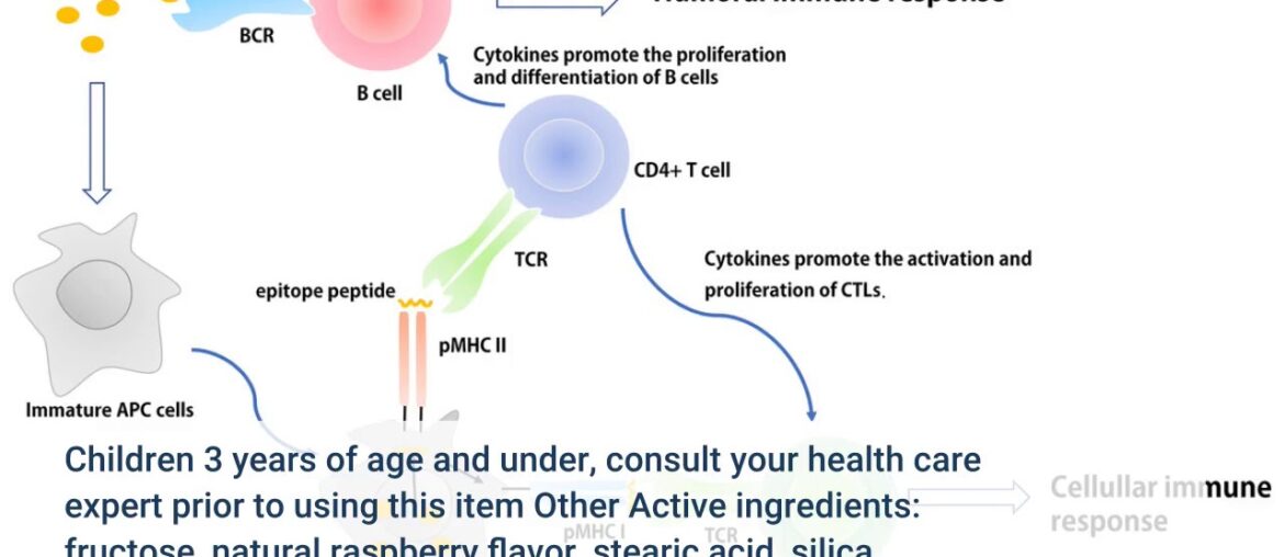 An Unbiased View of Natural Ways to Boost Your Immune System - by Rike Aprea