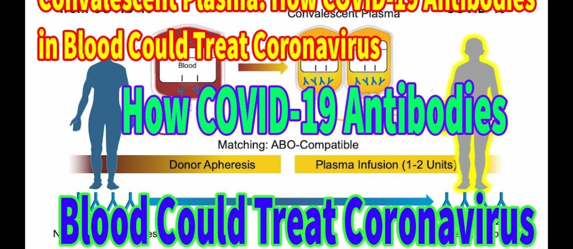 Convalescent Plasma: How COVID-19 Antibodies in Blood Could Treat Coronavirus