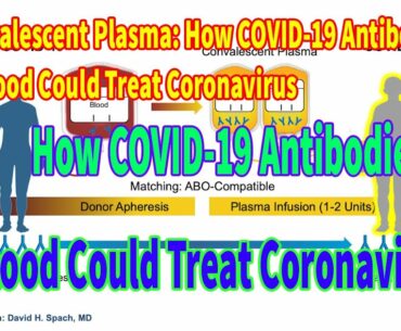 Convalescent Plasma: How COVID-19 Antibodies in Blood Could Treat Coronavirus