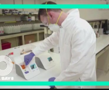 Remdisivir is only effective in early stages of coronavirus: doctor