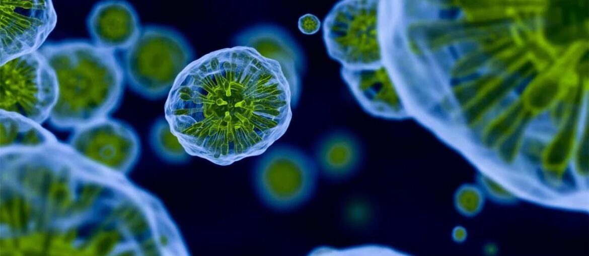 Boosting Immune System Is a Treatment Strategy For COVID-19