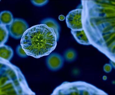 Boosting Immune System Is a Treatment Strategy For COVID-19