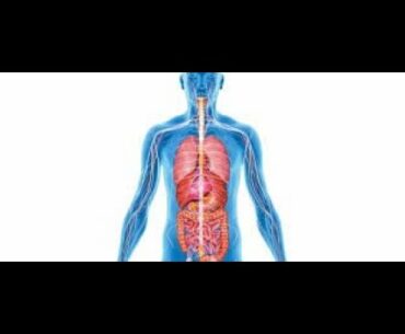 How To Support Your IMMUNE System  With Advanced Immune Health