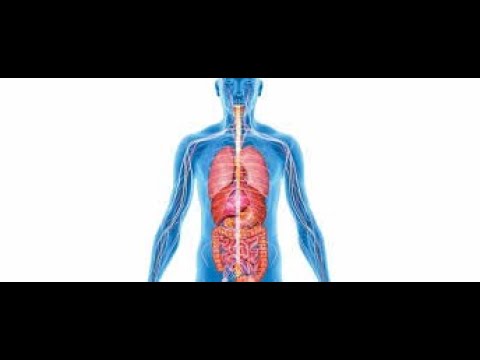 How To Support Your IMMUNE System  With Advanced Immune Health