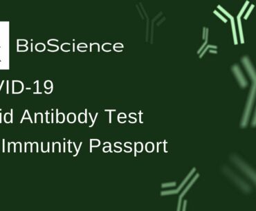 Your COVID-19 Rapid Antibody Test and Immunity Passport