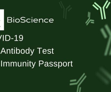 Your COVID-19 Lab Antibody Test and Immunity Passport