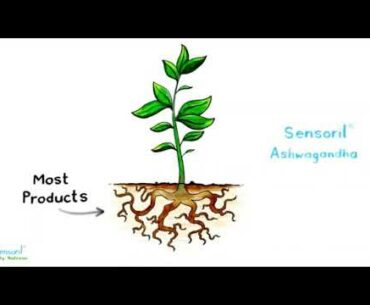 True-Osteo Plant Calcium Bone Support Supplement w AlgaeCal Vitamin K2 Magnesium (2) Reviews