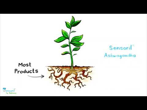 True-Osteo Plant Calcium Bone Support Supplement w AlgaeCal Vitamin K2 Magnesium (2) Reviews