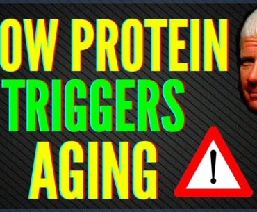 Protein And Aging - Is Too Much Protein Bad For You?