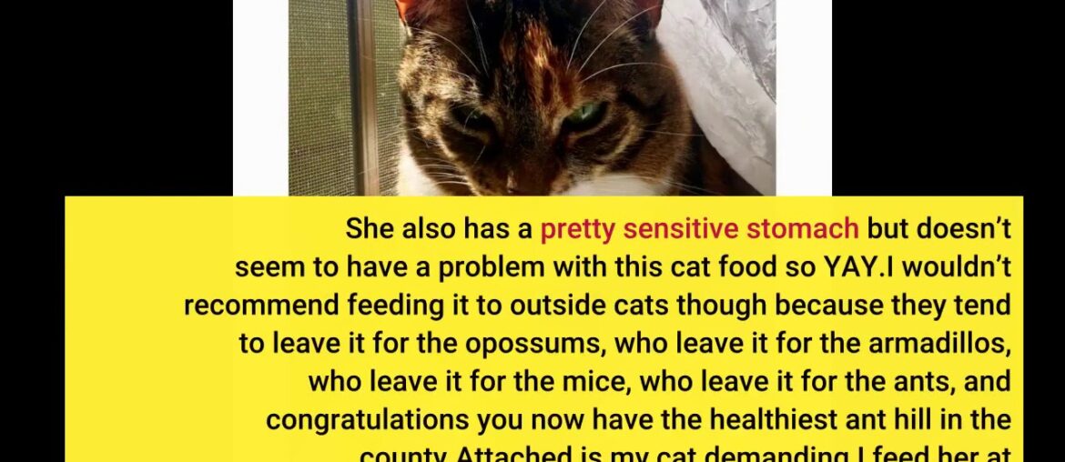 Hill's Science Diet Dry Cat Food, Adult, Perfect Weight for Weight Management, Chicken Recipe