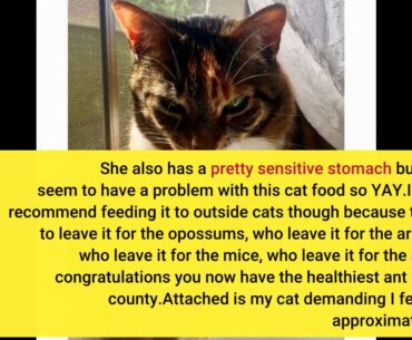 Hill's Science Diet Dry Cat Food, Adult, Perfect Weight for Weight Management, Chicken Recipe