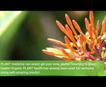 Supplements For Joints; Aged  Remedies and Cures