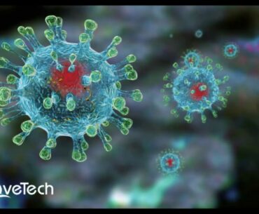 Covid19 | Myths and Facts