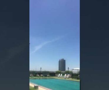 Longan drink/healthy/vitamin c/supplement