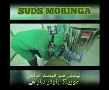 SUDS MORINGA