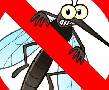 Vitamin B1 for Mosquito Protection