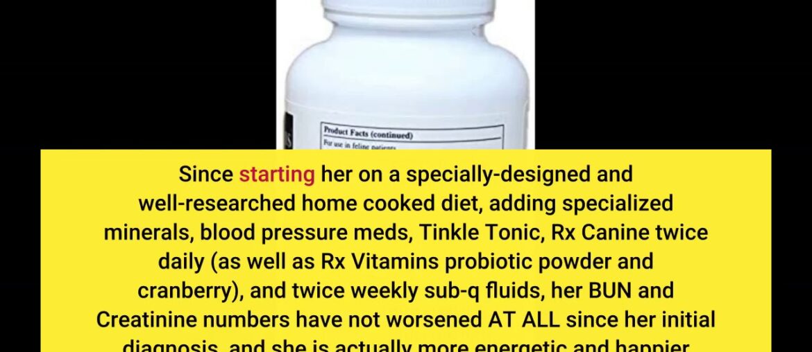 Rx Renal Canine 120 Caps by Rx Vitamins
