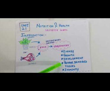 Classes of Nutrients made simple