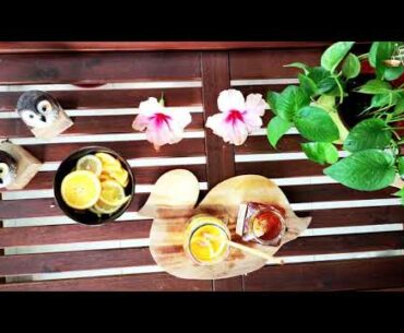 Best Cold & Flu Remedy || Fermented Turmeric Ginger Lemon Honey || Immunity Boosting Recipe