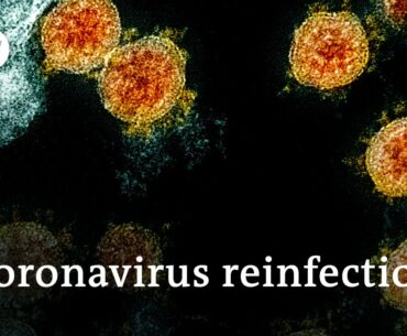 Coronavirus reinfections raise concerns | DW News