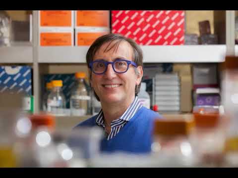 Alessandro Sette - Common cold coronaviruses: Antibodies prevalence, reinfection and immune response