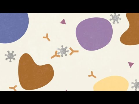 4 scenarios on how we might develop immunity to COVID-19