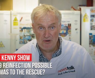 COVID-19 reinfection possible and llamas to the rescue?: Professor Luke O'Neill's COVID-19 update