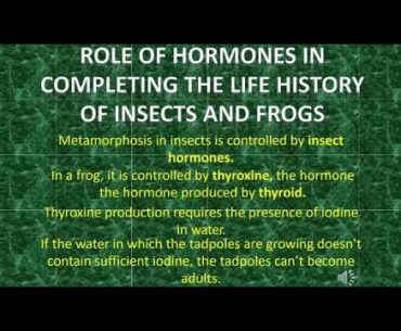 Reproductive Health, exercises, nutrition of adolescents class 8 on 27/8/20