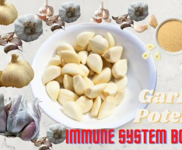 Garlic Potent Immune System Booster