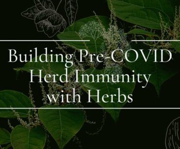 Building Pre-COVID Herd Immunity with Herbs