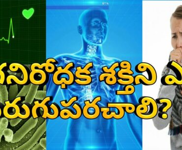 How to improve immunity power? /#immunitybooster