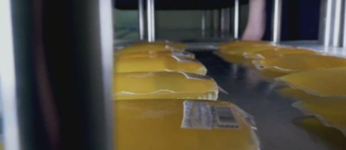 OHSU studies convalescent plasma for COVID-19