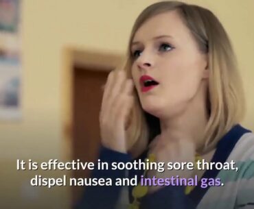 The Most Effective Antiviral Herbs l How To Prepare Antiviral Herbs At Home