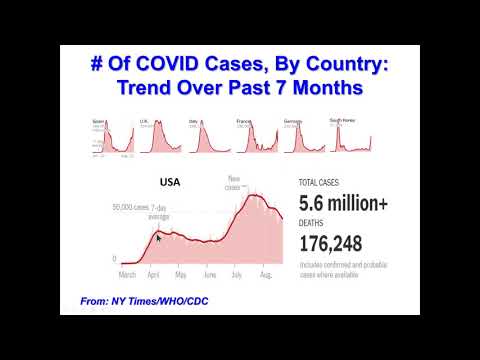 Solve M.E. 2020 Webinar: "Will COVID-19 Lead to ME/CFS in Some People" by Dr. Anthony L. Komaroff