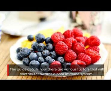 The Staccatto Provides Expert Tips On Immune System Support For Good Health