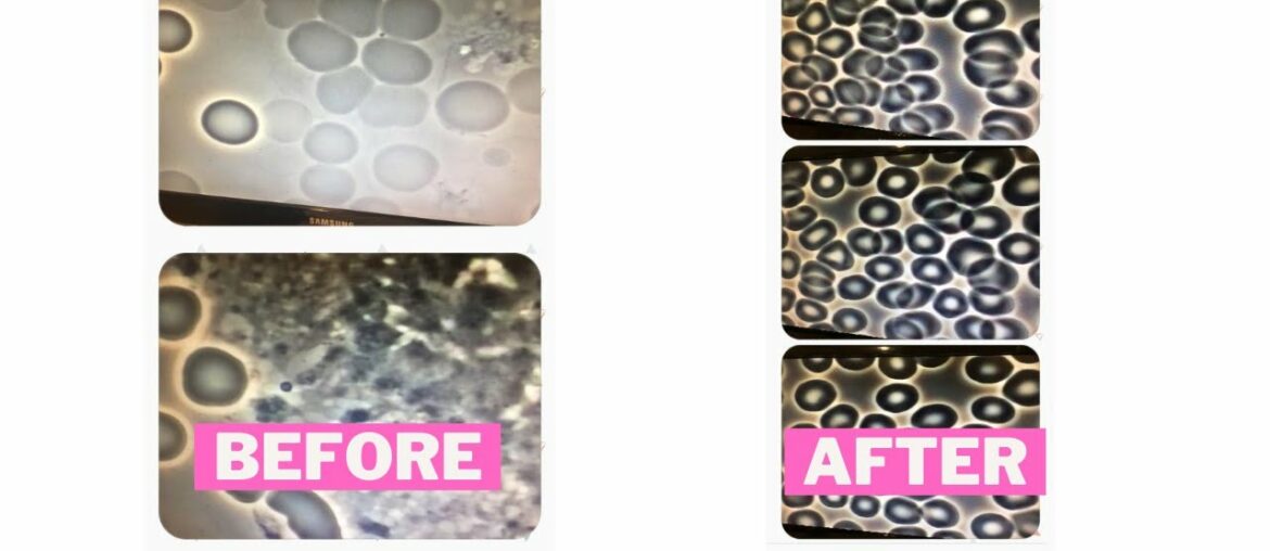 SUPER SUPPLEMENTS for an Energetic Life